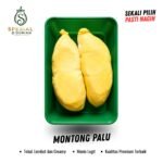 Spesial Durian Montong Palu 100% Asli