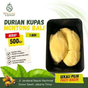 Spesial Durian Montong Bali Grade A+